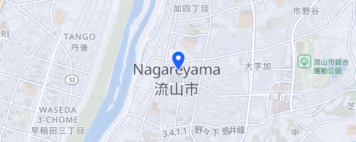 Nagareyama Road Race