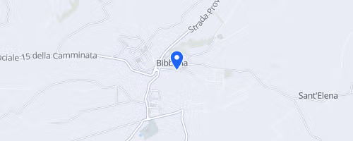 Magona Run (10-8Km)