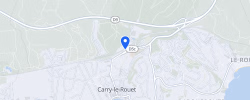 Carro-Carry