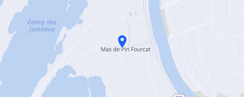 Course nature sauvage - Saintes-Maries-de-la-Mer