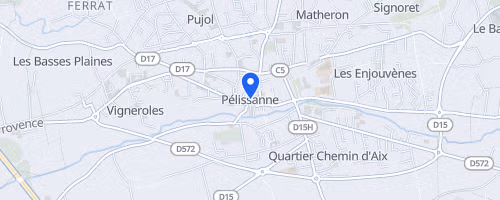Courses des Foulées Pélissannaises - Pelissanne