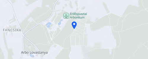 II. Mozaik Med Debreceni Futófesztivál