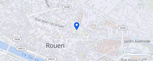 Seine marathon 76 - Rouen
