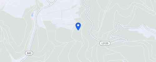 Beerfelder Waldlauf