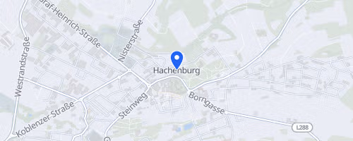 40. Hachenburger Löwenlauf