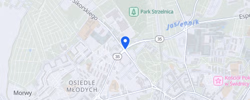 Rst Polmaraton Swidnicki