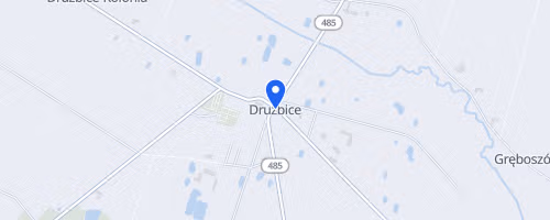 Bieg Św. Dominika - Drużbice