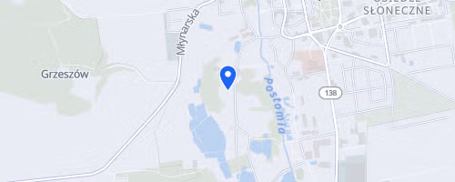 XXVI Memorial Stanislawa Ozoga X Mistrzostwa Sulecina w Biegu na 10 Km