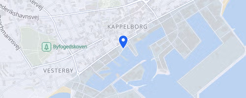 Skagen Marathon