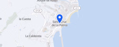 Bestial Race la Palma