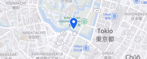 第238回UP RUN皇居マラソン◎計測タグ有◎