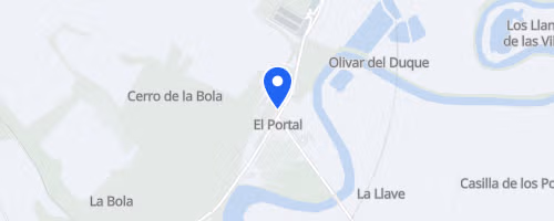 Carrera Benéfica Papa Noel