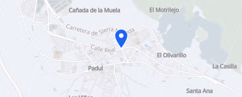Marcha por una Meta sin Diabetes
