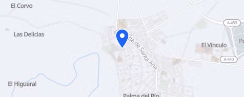 Carrera Nocturna Palma del Río