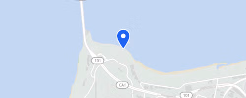 Crissy Field 5K--REVERSE!!!