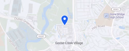 Capital Coast Bike Race