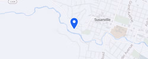 Bizz Johnson