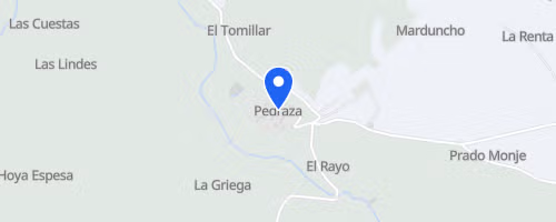 Carrera Pedestre Las Lagartijas