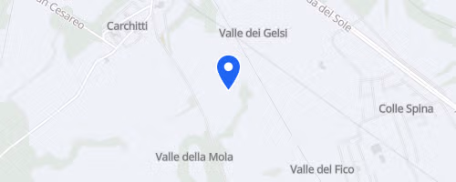 Mezza Maratona dei Castelli Romani (10 Km)