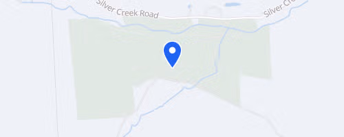 Salt Springs Field, Forest & Falls Trail Races