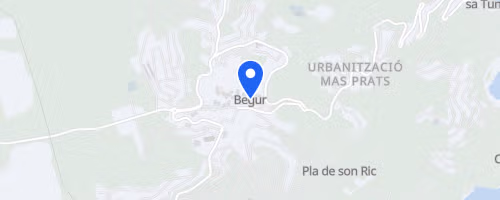 Marxa Popular Puja i Baixa