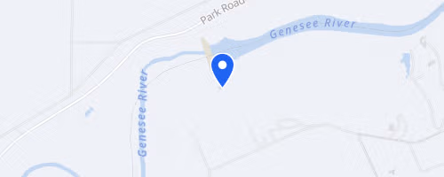 Many On The Genny
