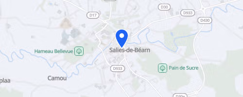Les foulées du sanglier - Salies-de-Béarn