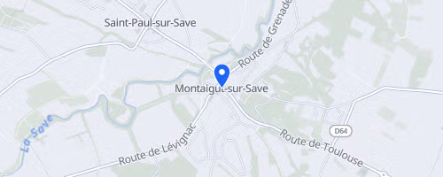 Forest Night - Montaigut Sur Save