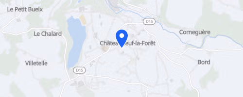 Triathlon de Châteauneuf la Forêt