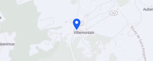 Treille en côte roannaise - Villemontais