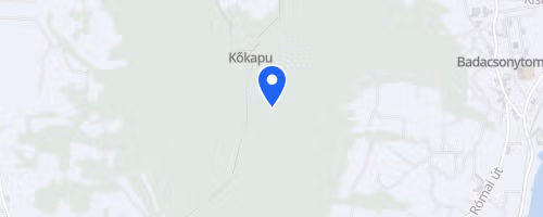 Tanúhegyek Trail Kids 1 km