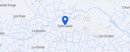 La Course Des Deux Clochers - Sallertaine