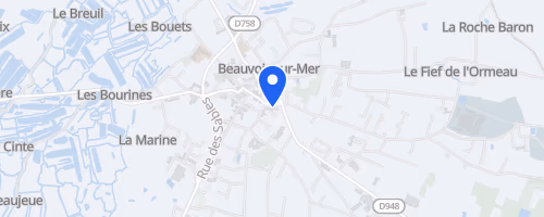 Les foulées du Gois - Beauvoir-sur-Mer