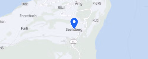 Berglauf Seelisberg