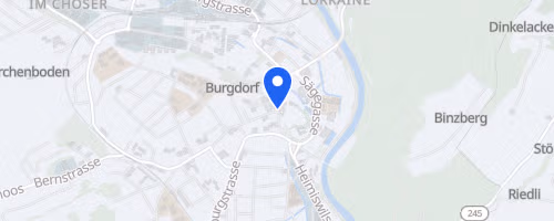 Burgdorfer Stadtlauf