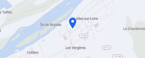 Les foulées de Muides - Muides-sur-Loire