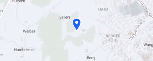 Kinderfestlauf Wangen