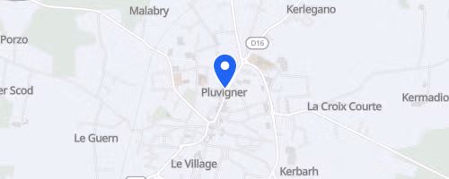 Foulées pluvignoises - Pluvigner
