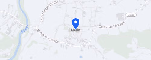 Mollner Marktfestlauf