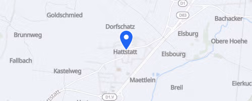 Le trail du hatschbourg	 - Hattstatt