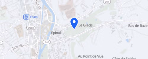 Foulées des barbus - Épinal