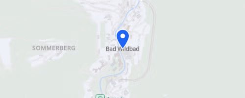 18. Bad Wildbader Stäffeleslauf