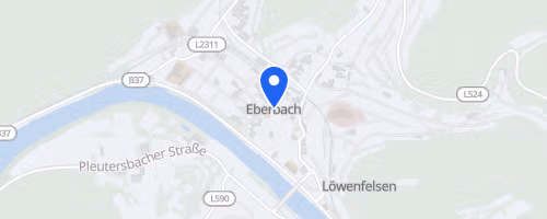 31. Eberbacher Sprint- und Jedermanntriathlon