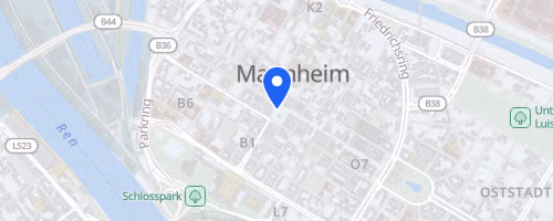 Franklin Meilenlauf Mannheim