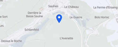 La ronde hivernale - Saulnes