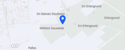 Fischerfestlauf Gernsheim