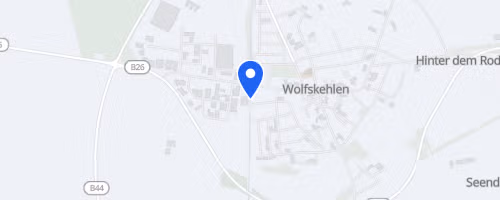 41. Straßenlauf