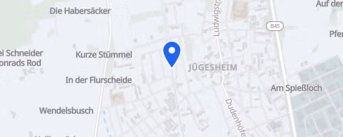 46. Winterlaufserie Rodgau Jügesheim (2)
