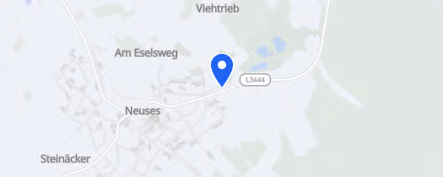 19. Freigerichter Benzinglauf