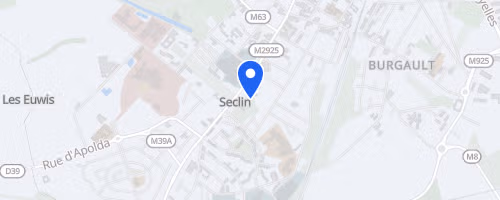 Les foulées collégiales - Seclin